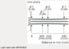 Picture of Fotoandur Objektilt (BGS) GR18, M18, Sn=3..300mm, PNP, Light/Dark, IP67, pistik M12 4-pin, SICK 